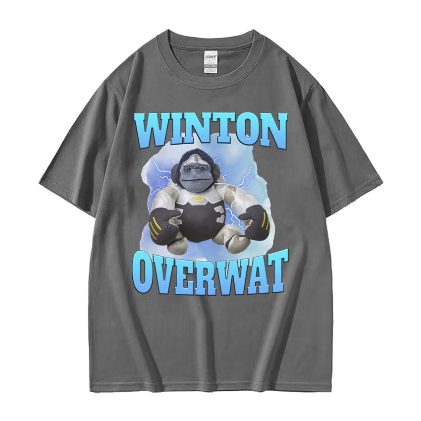 Winton Overwat Meme Funny Gami - Retro Gaming Meme 리뷰 및 가격
